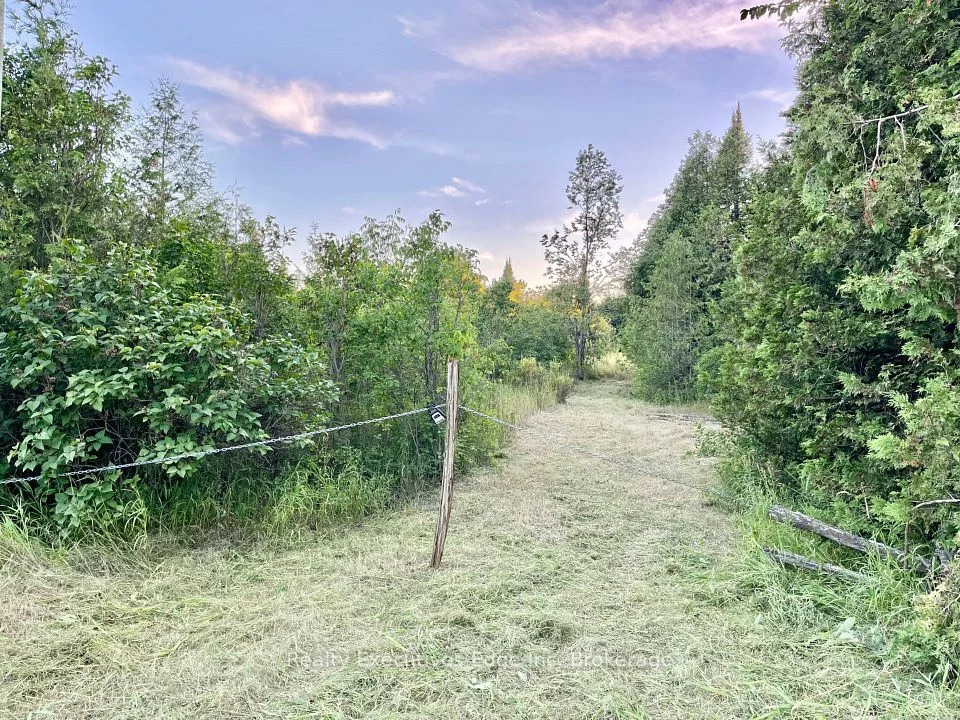 213 Vansickle Road, Havelock-Belmont-Methuen, ON K0L 1Z0