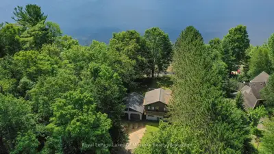 Detached in Lake of Bays