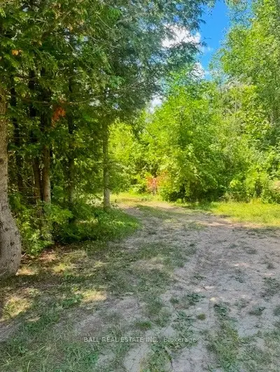 Vacant Land in Kawartha Lakes
