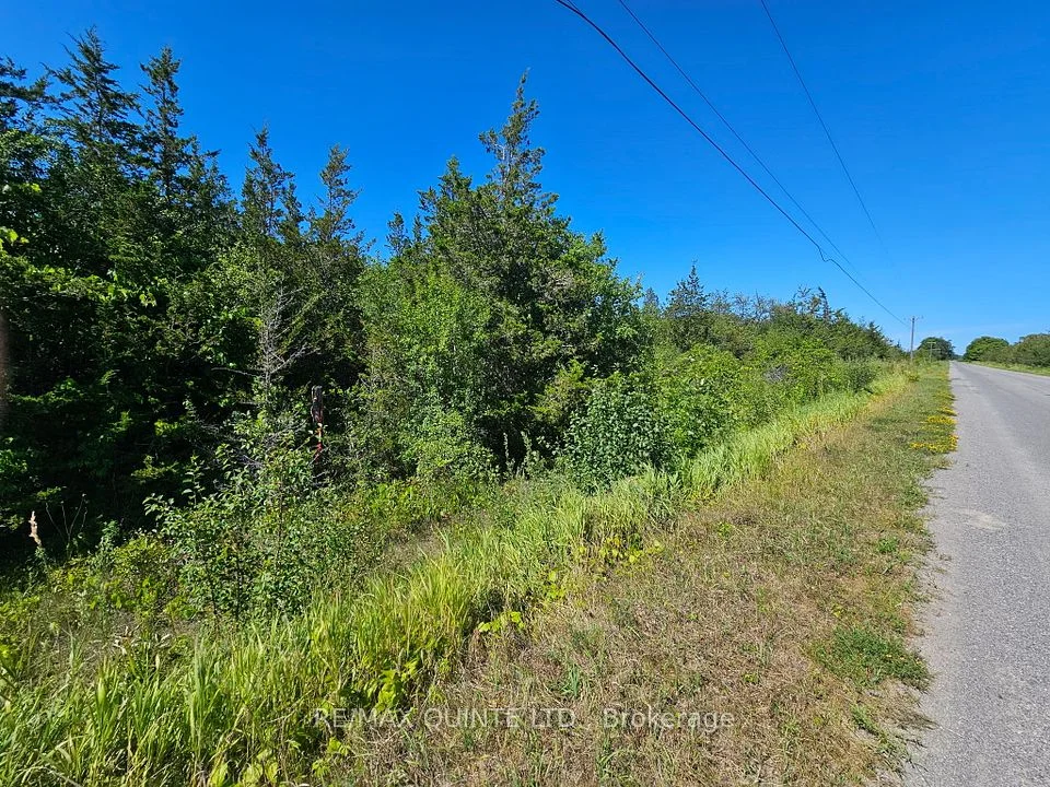 Beside 101 Royal Road, Prince Edward County, ON K0K 2P0