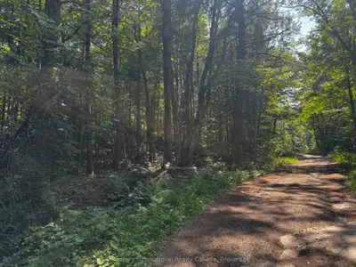 Vacant Land in Bracebridge