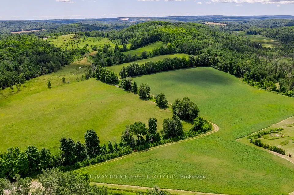54 Lockhart Court, Trent Hills, ON K0K 3K0