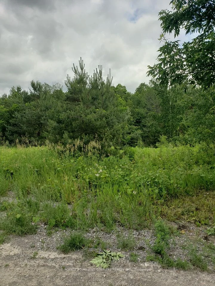 59 Hutchinson Court, Trent Hills, ON K0K 3K0