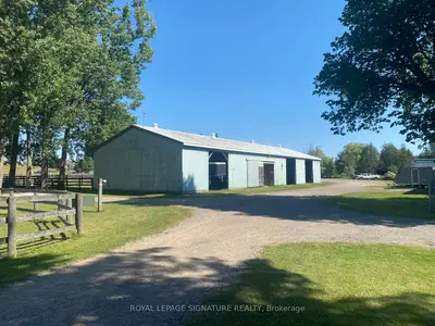 Detached in Erin