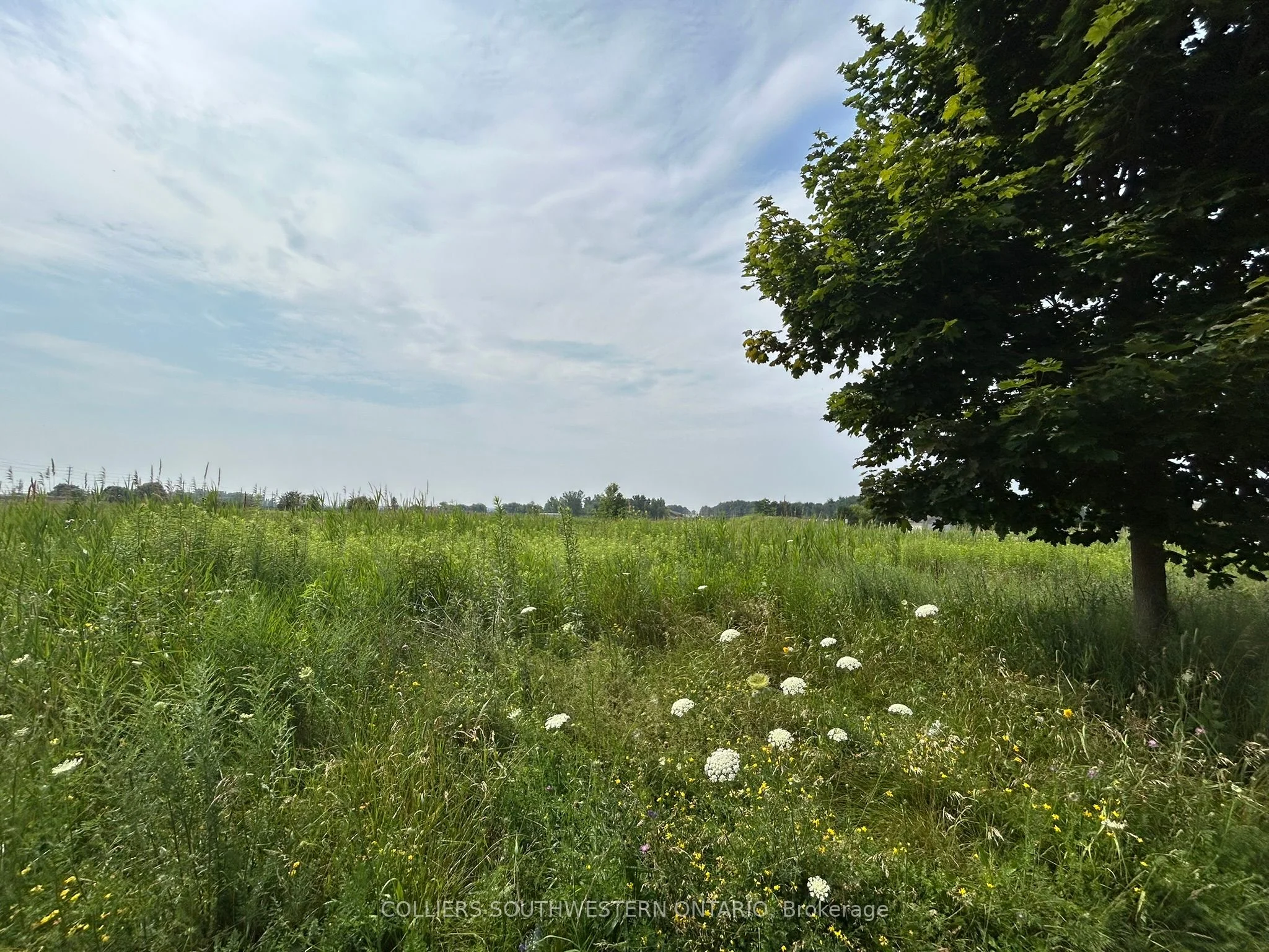 2947 Bateman Trail, London South, ON N6L 0A6