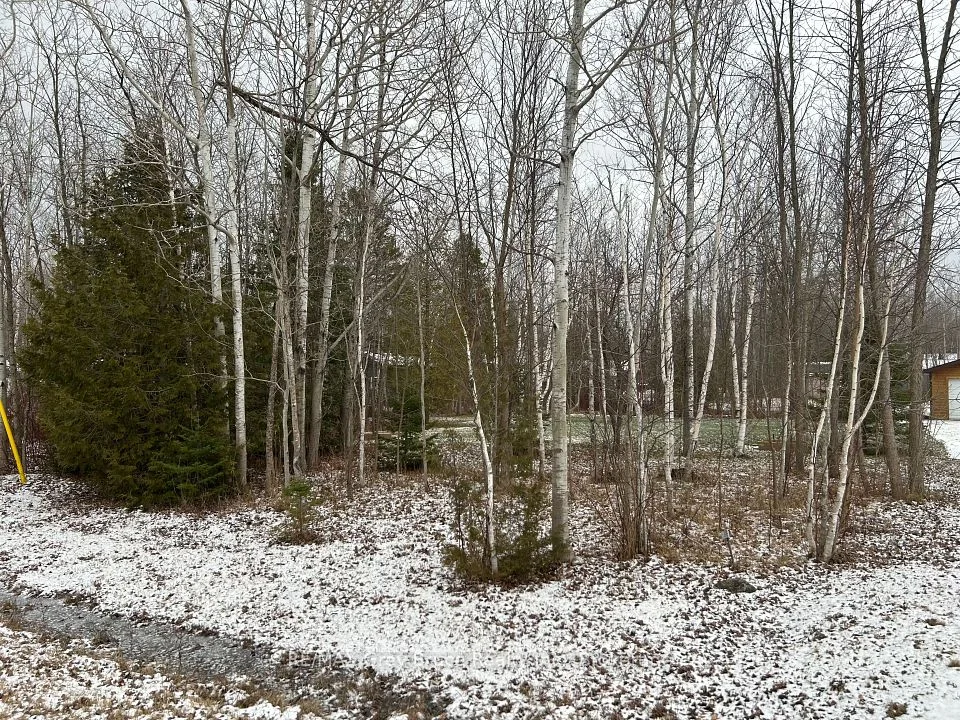PT 7 Part Lot 23 N Maple Drive, Northern Bruce Peninsula, ON N0H 1Z0