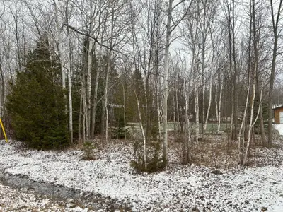 Vacant Land in Northern Bruce Peninsula