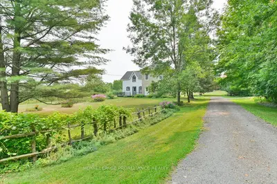 Detached in Tweed