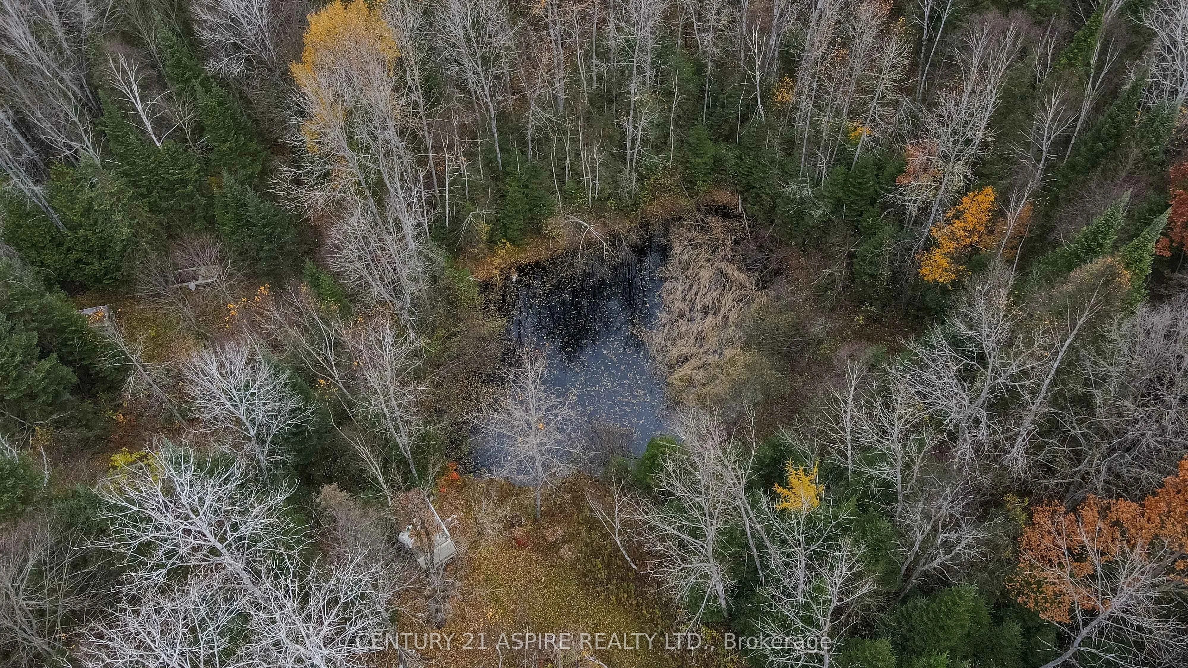 129 Mullen Road, Madawaska Valley, On K0j 1l0