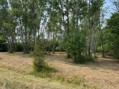 Lot Archer Road, South Dundas, On K0c 2h0