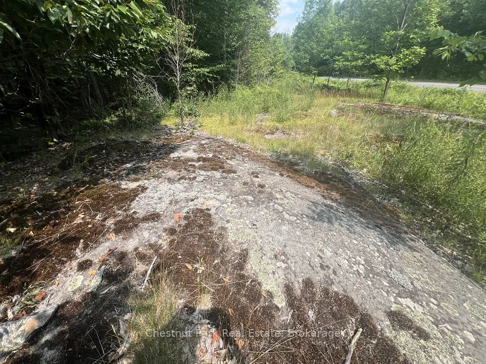 1433 Juddhaven Road, Muskoka Lakes, ON P0B 1J0