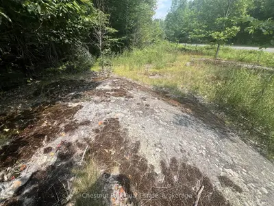 Vacant Land in Muskoka Lakes