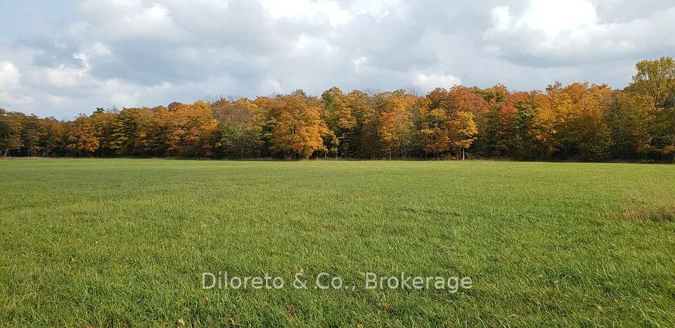 LOT 21 CAPE CHIN NORTH Road, Northern Bruce Peninsula, ON N0H 1W0