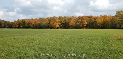 Vacant Land in Northern Bruce Peninsula
