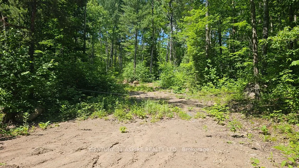 11072 Opeongo Road, Madawaska Valley, ON K0J 1B0