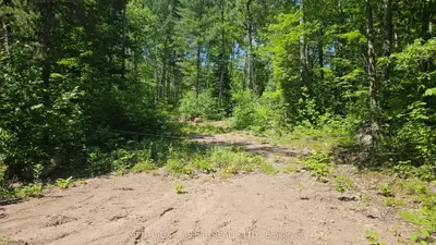 Vacant Land in Madawaska Valley