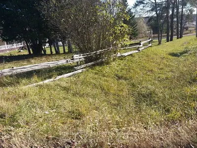 Vacant Land in Kawartha Lakes