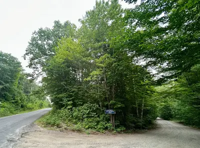 Vacant Land in Algonquin Highlands