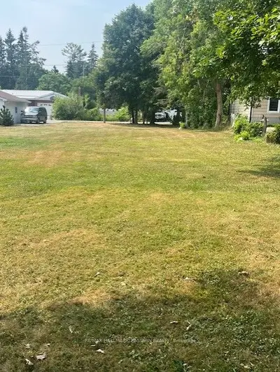 Vacant Land in Kawartha Lakes
