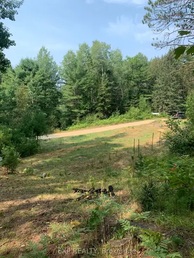 Vacant Land in Bancroft