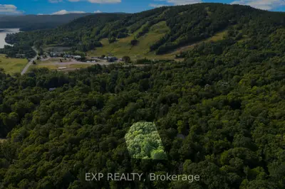 Vacant Land in Greater Madawaska