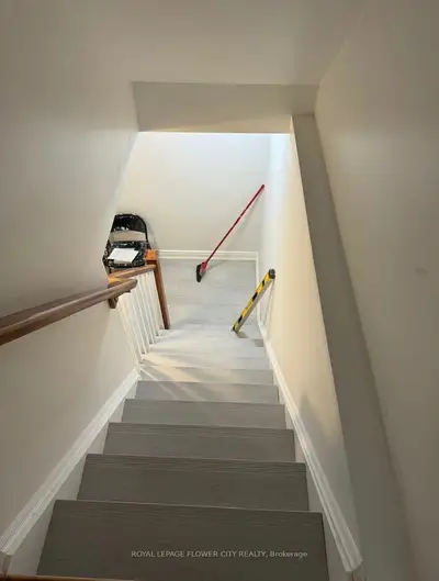 Lower Level in Cambridge