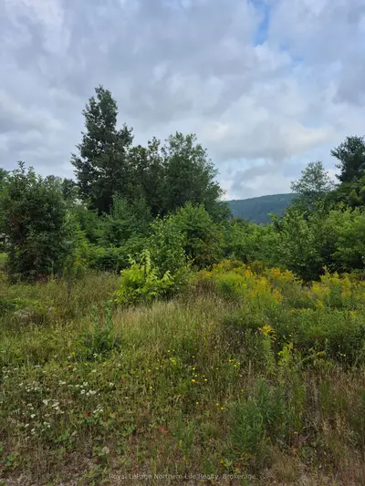 560 New Street, Mattawa, On P0h 1v0