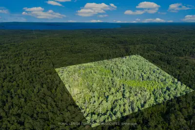 Vacant Land in Madawaska Valley