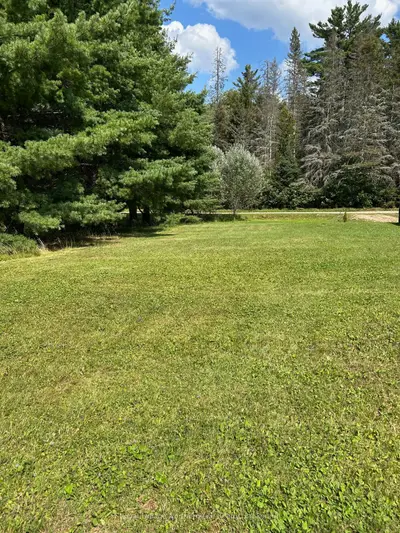 Vacant Land in Bonfield
