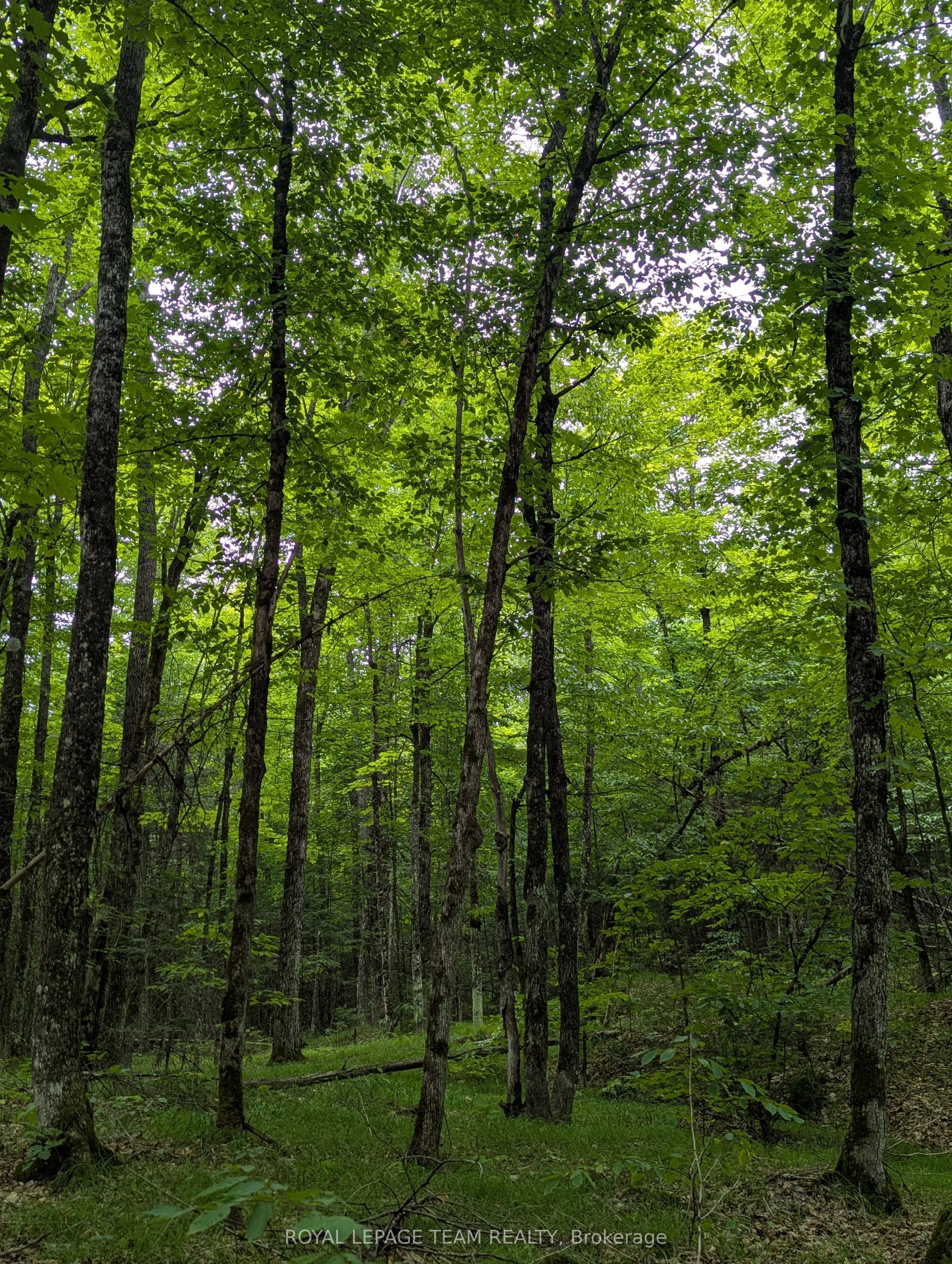 00 Triple Tower Road, Lanark Highlands, ON K0G 1K0