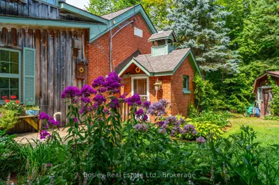 Detached in Blue Mountains