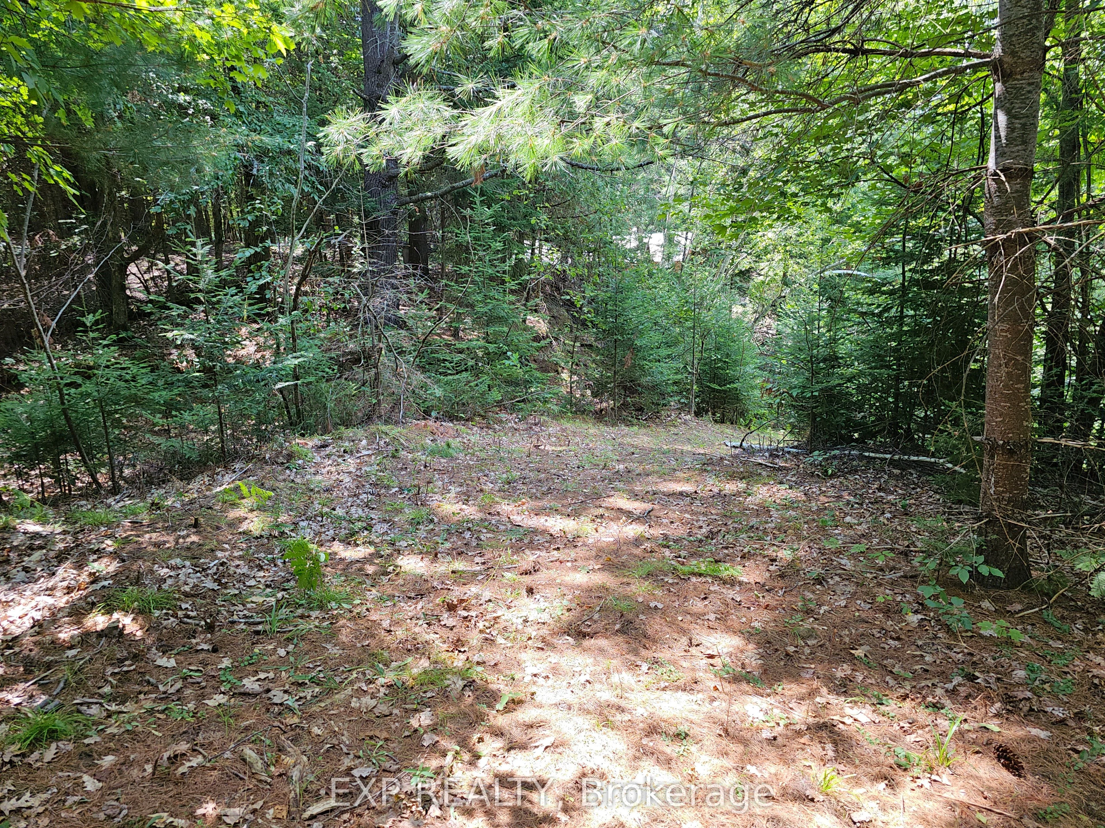 889 A Slate Falls Road, Addington Highlands, ON K0H 1L0