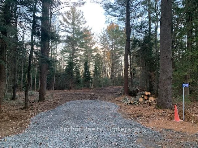 1601 Uffington Road, Bracebridge, ON P1L 1X1