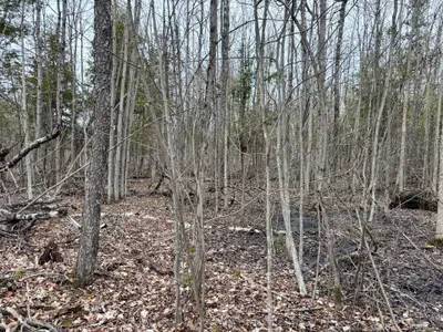 Vacant Land in Augusta