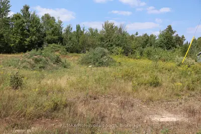 Vacant Land in Minden Hills