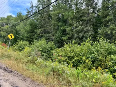 Vacant Land in Perry