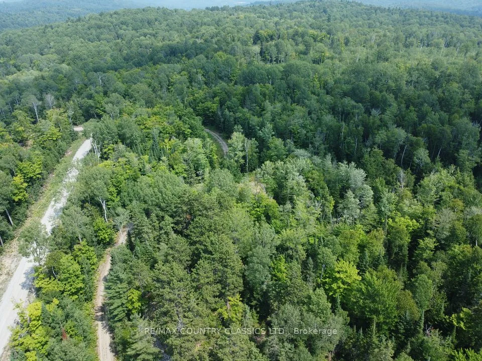 000 Babinski Road, Madawaska Valley, ON K0J 1B0