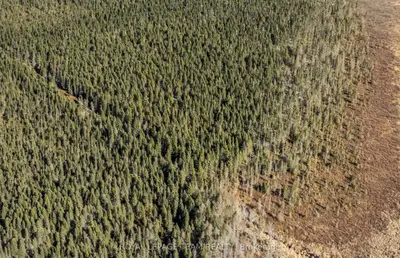 Vacant Land in Whitewater Region
