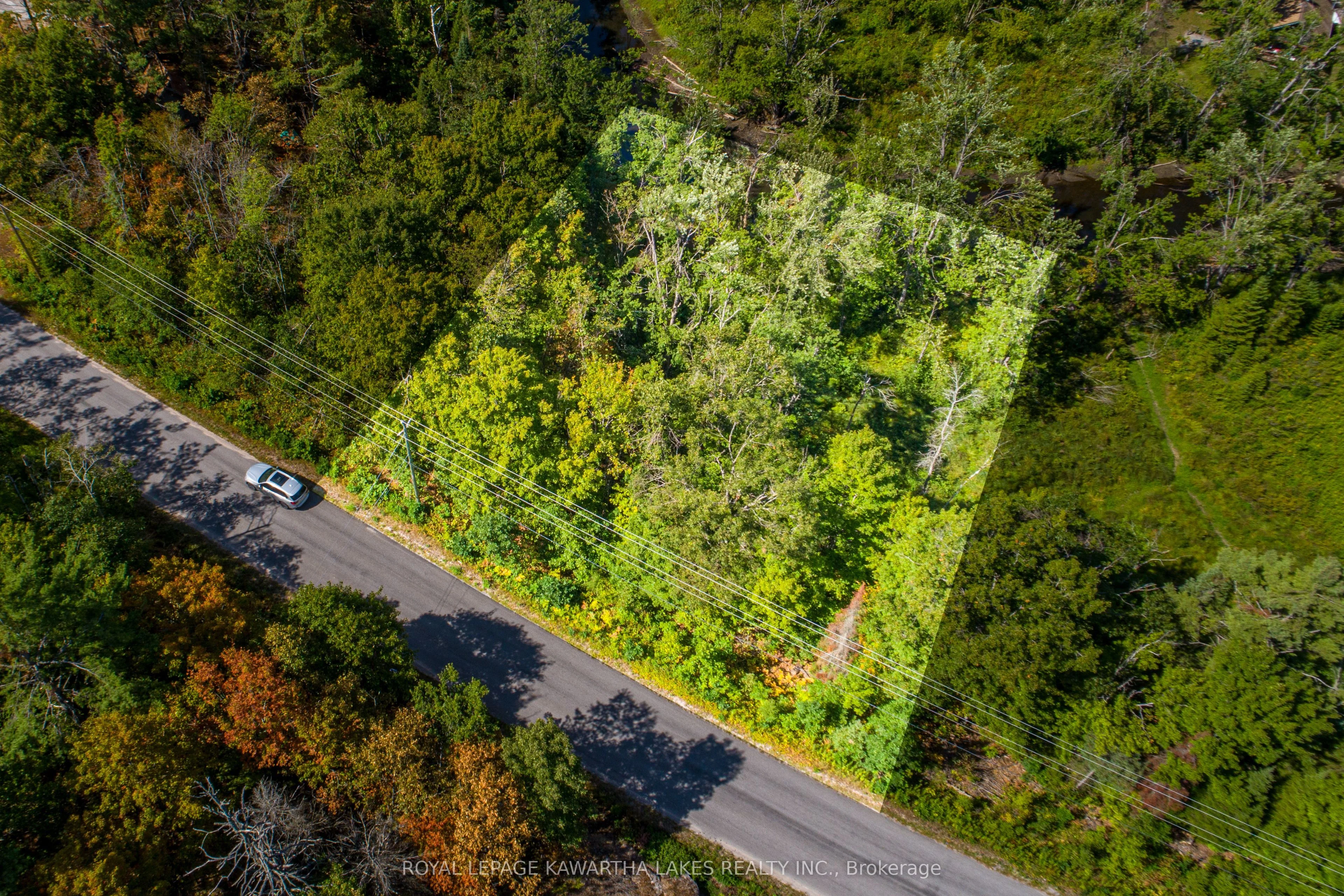 PT LOT 36 Edwina Drive, Trent Lakes, ON K0M 1A0