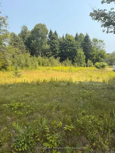 Vacant Land in Hastings Highlands