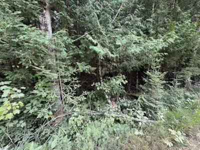 Vacant Land in Brudenell, Lyndoch and Raglan