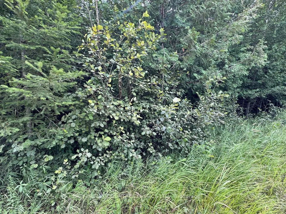 00 Schimmens Road, Brudenell, Lyndoch and Raglan, ON K0J 2E0