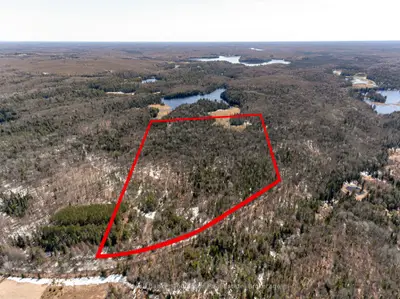 Vacant Land in McMurrich/Monteith