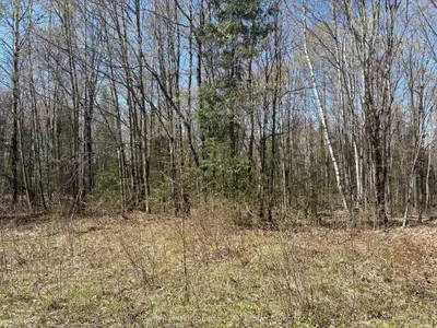 Vacant Land in Powassan