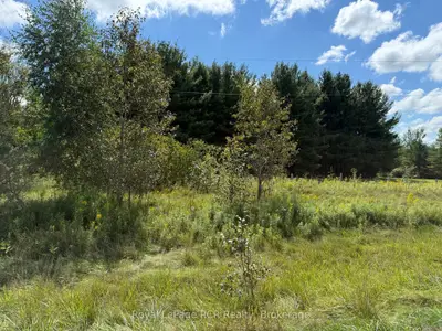 Vacant Land in Wellington North