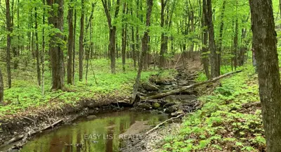 Lot 1 Colonial Road, Minden Hills, On K0m 2k0