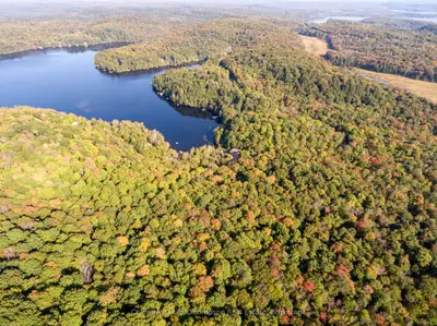 Vacant Land in Huntsville
