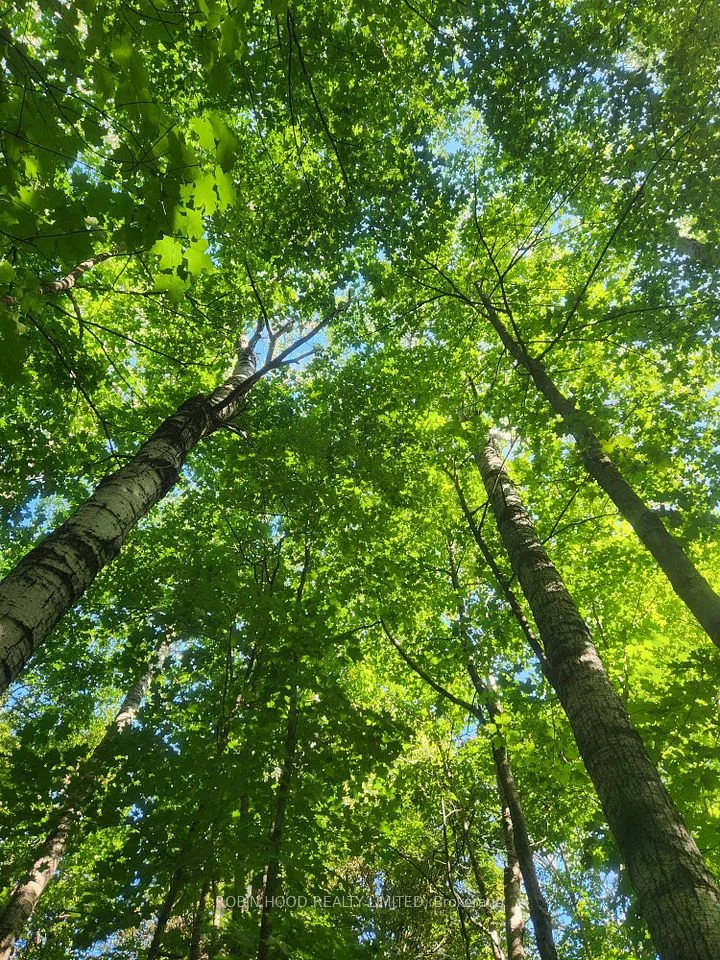 Green Bush Road , Northeastern Manitoulin and The Islands, ON P0P 1K0
