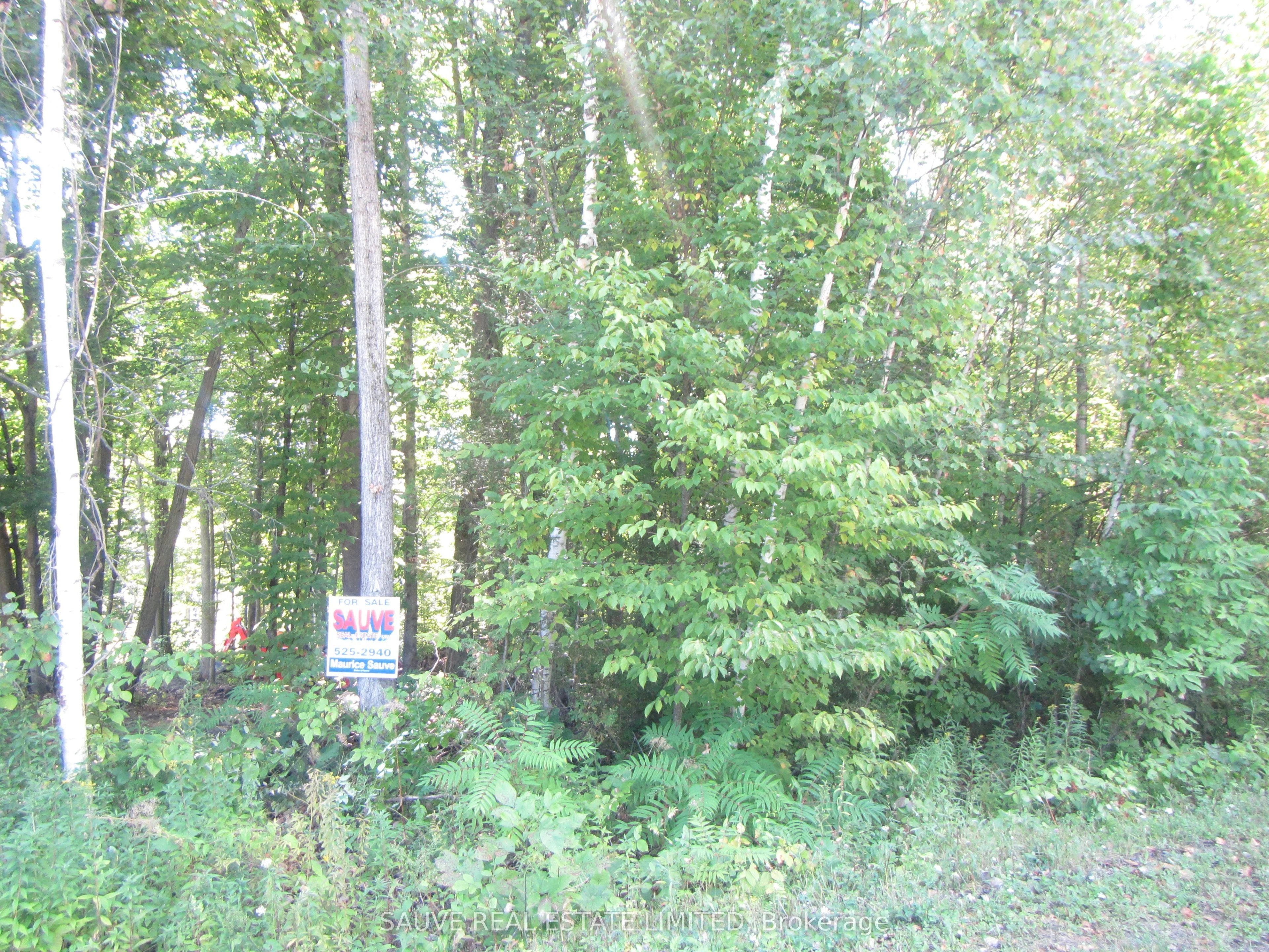 1 PARKHILL Circle, South Glengarry, ON K0C 1Z0