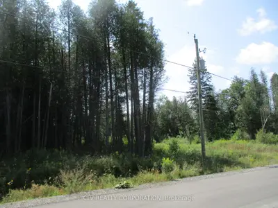 6240 Nick Adams Road, Greely - Metcalfe - Osgoode - Vernon and Area, ON K4P 1H2